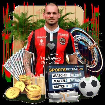 凯发体育最新网站资讯平台